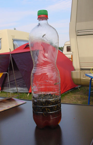 The Wasp Trap